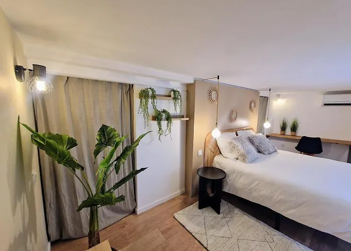 Le Patio De Lisle, Superbe Rénové, Patio Arboré, Centre Historique Apartamento