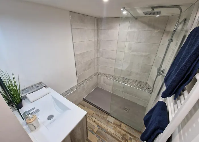 Le Patio De Lisle, Superbe Rénové, Patio Arboré, Centre Historique Apartamento